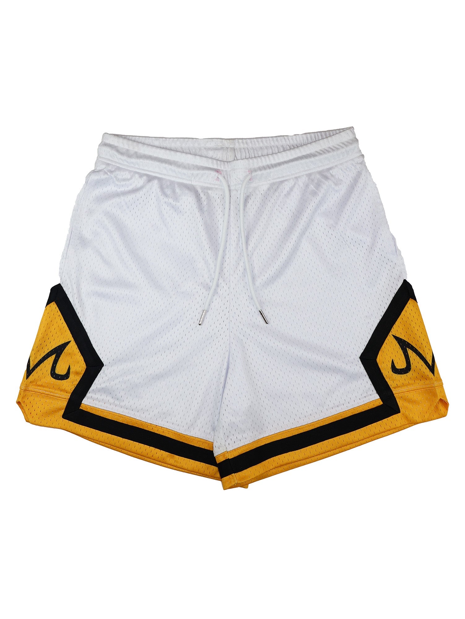 M BASKETBALL SHORTS ANIQI