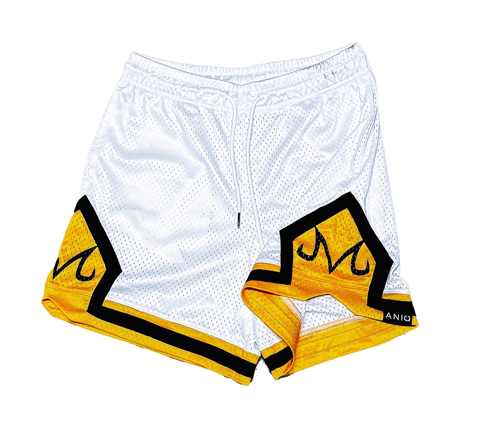 M BASKETBALL SHORTS ANIQI