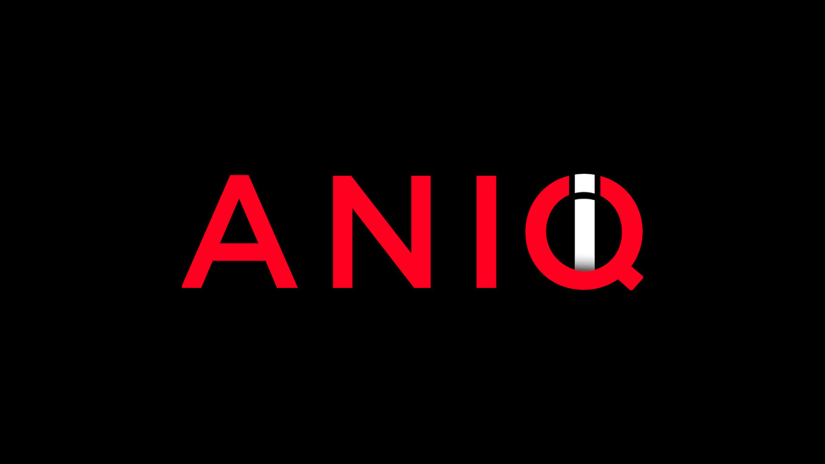 The picture aniqi.com shows when its homepage is shared