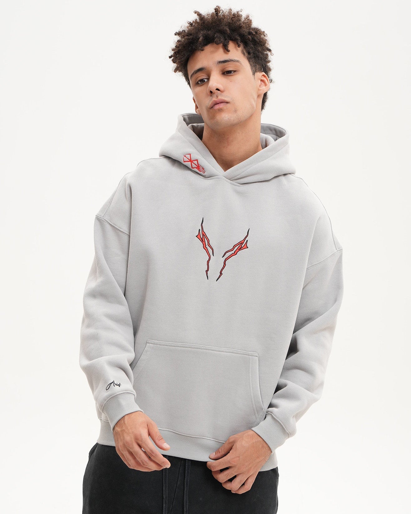 BEAST OF DARKNESS HOODIE  ANIQI